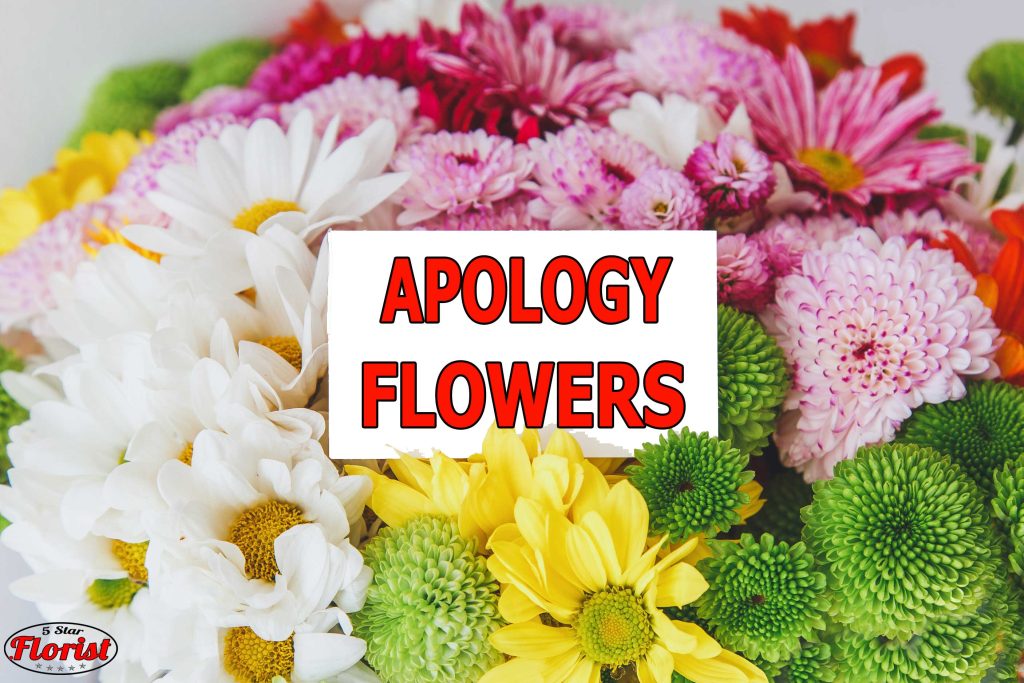 apology flowers Youngstown