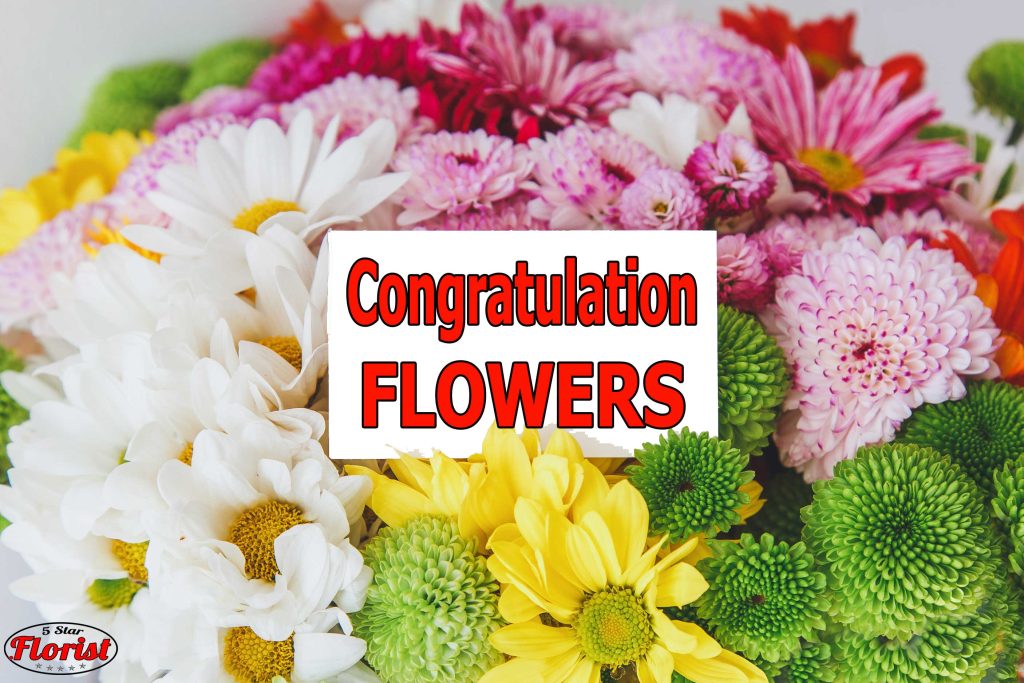 congratulations flowers Youngstown