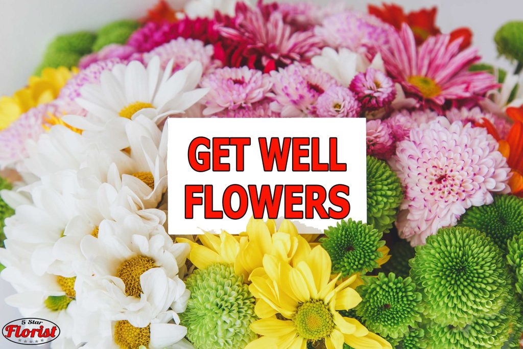 get-well-flowers Youngstown