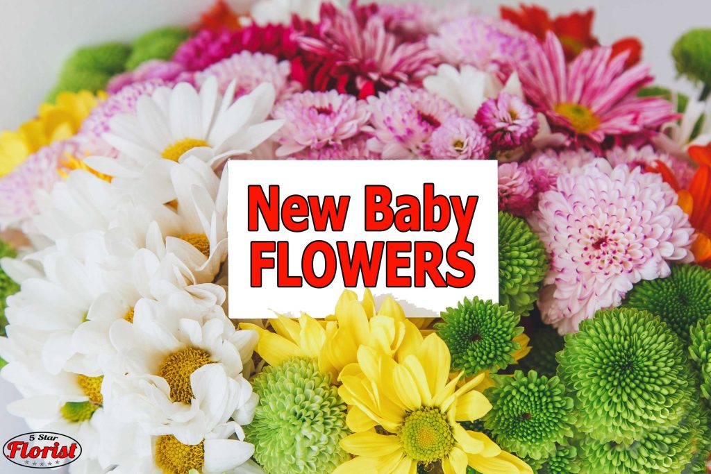 new baby flowers Youngstown