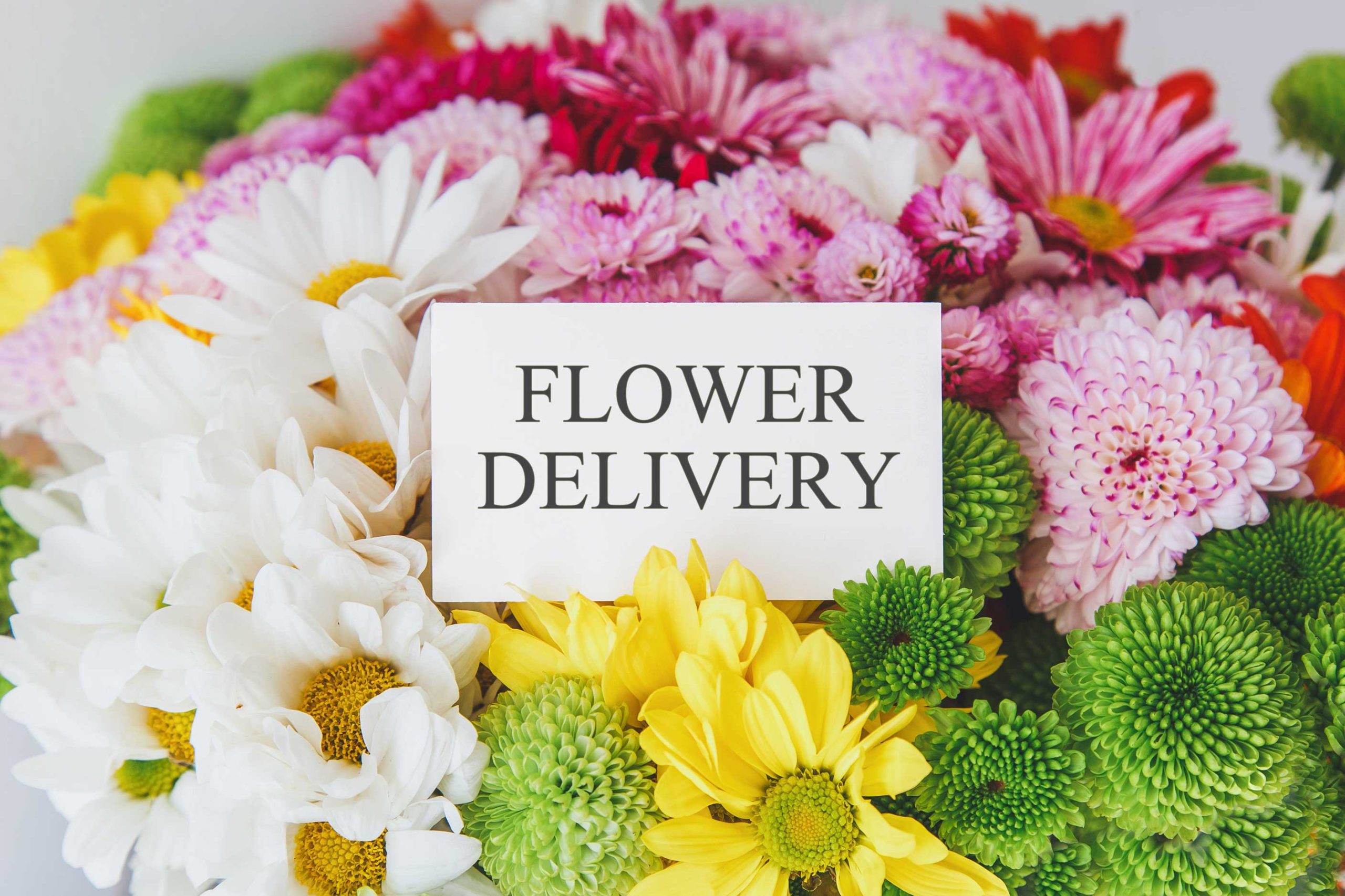 same-day-flower-delivery- Youngstown